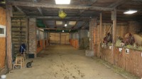 /album/fotogalerie-hodinova-jizda-na-koni/konici-33-jpg/
